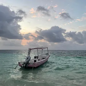 Home's Jungle Puerto Morelos 20 Minutes From The Airport Pensión